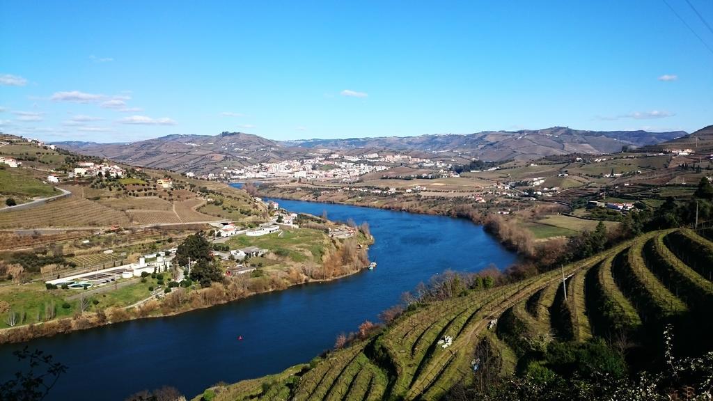 Casa Quinta Da Adega Do Chao - Vale Do Douro Villa Lamego Szoba fotó