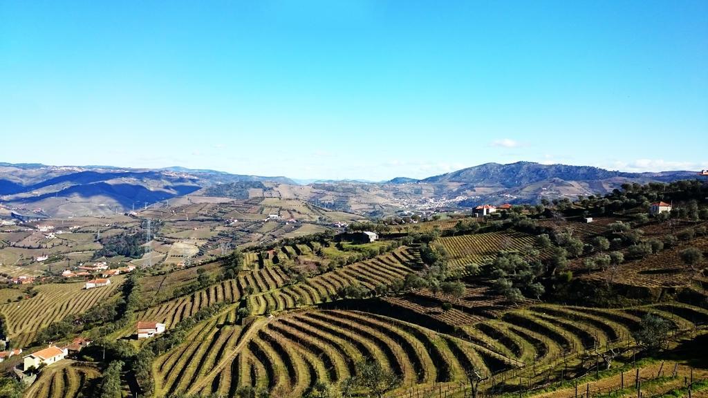 Casa Quinta Da Adega Do Chao - Vale Do Douro Villa Lamego Szoba fotó