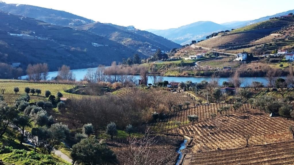 Casa Quinta Da Adega Do Chao - Vale Do Douro Villa Lamego Szoba fotó
