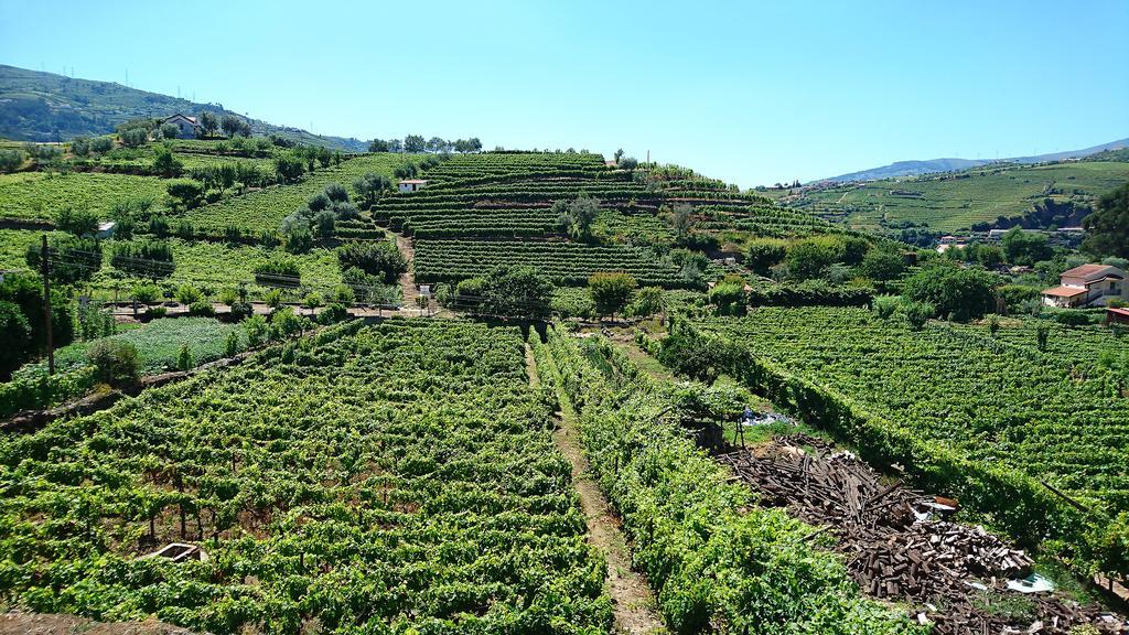 Casa Quinta Da Adega Do Chao - Vale Do Douro Villa Lamego Kültér fotó